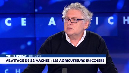 Michel Onfray : «Un troupeau, c'est un patrimoine culturel. On est en train de détruire tout ça»