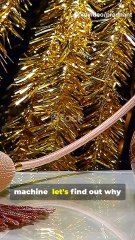 Vintage Perfume in 30s: Why It Hits Different