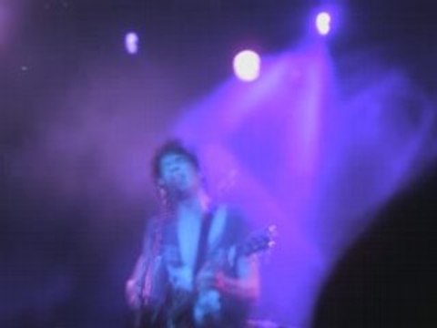 BB Brunes Show Montage Video + Photos