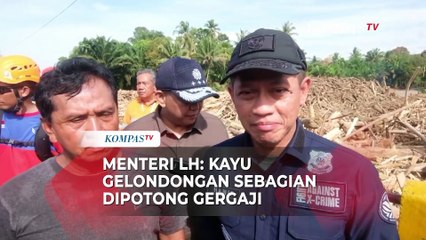 Menteri Lingkungan Hidup: Tumpukan Kayu Gelondongan Sebagian Dipotong Gergaji