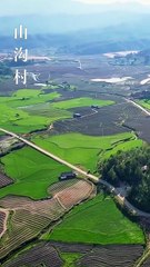 Before the Gold, Before the Name #Dramabox