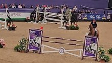 John Whitaker experiences abrupt fall while performing at Horse of the Year Show