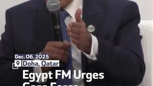Egypt FM Urges Gaza Force Deployment