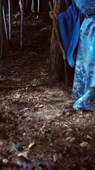 El príncipe discapacitado rescata a una huérfana, sin saber que tenía poderes, le trae buena suerte - serie de televisión en español