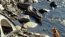 He Thought It Was a Peaceful Camp… Until the Anaconda Arrived"