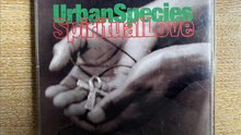 Urban Species - Spiritual Love (C.J. Mackintosh Eternal Mix)