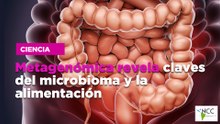 Metagenómica revela claves del microbioma y la alimentación