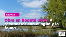 Obra en Bogotá invita a reconectar con el agua y la fauna
