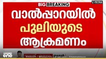 തമിഴ്നാട് വാൽപ്പാറയിൽ നാല് വയസുകാരനെ പുലി കടിച്ചു കൊന്നു