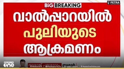 തമിഴ്നാട് വാൽപ്പാറയിൽ നാല് വയസുകാരനെ പുലി കടിച്ചു കൊന്നു