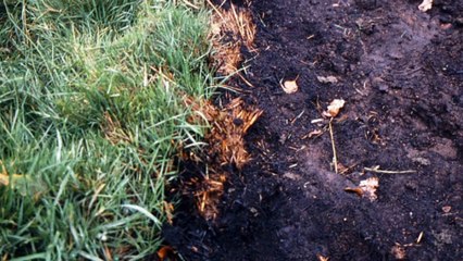 The Proof Is Out There S05E18