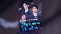 Through You Even Darkness Blooms Full Episode