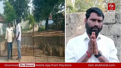 'కోతులను పట్టించే బాధ్యత నాది - ఎన్నికల్లో గెలిపించే బాధ్యత మీది' - సర్పంచ్ అభ్యర్థి వినూత్న ప్రచారం