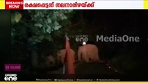 തൃശൂർ മലക്കപ്പാറ റോഡിൽ  കോൺ​ഗ്രസ് സ്ഥാനാർഥിക്ക്  നേരെ കാട്ടാന ആക്രമണം
