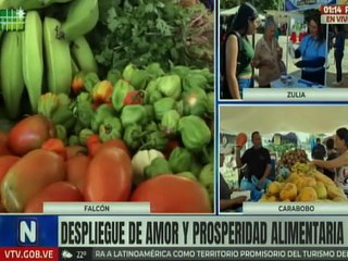 Despliegue "Amor y Prosperidad Alimentaria" beneficia a más de 2 mil 500 familias falconianas