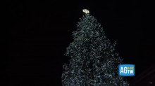 Milano, acceso l’albero di Natale in piazza Duomo: 29 metri e 100mila led