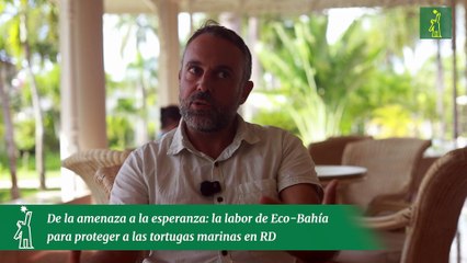 De la amenaza a la esperanza la labor de Eco-Bahía para proteger a las tortugas marinas en RD