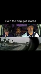 This accident was narrowly avoided. 🚙