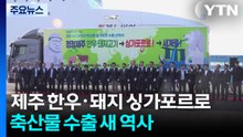 제주 한우·돼지 싱가포르 간다...축산물 수출 '새 역사' / YTN