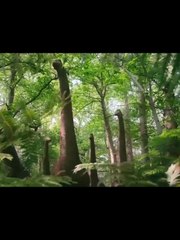 "AI Powered Fun & Entertainment"