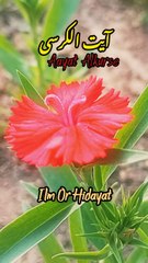 The Most Powerful Verse of the Qur’an — Ayat al-Kursi (2:255)