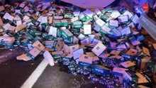 Camião despista-se e deixa 20 toneladas de cerveja espalhadas em Espanha