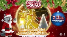 Programa Navidad de Guau en #Durango