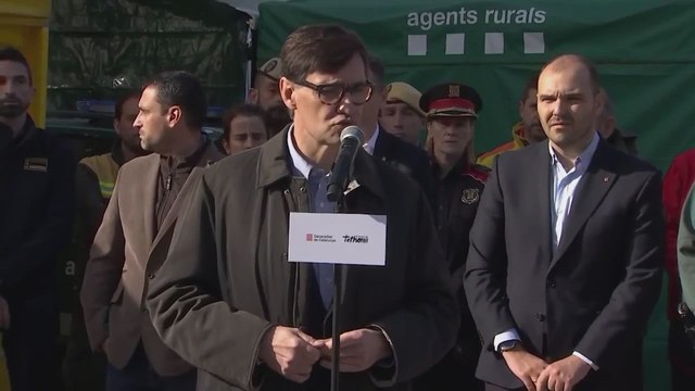 Illa asegura que por el momento no hay casos de peste porcina en granjas