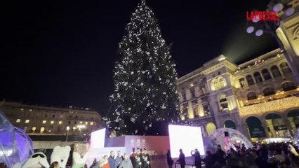 Milano, acceso l'albero di Natale in piazza Duomo: c'è anche una proposta di matrimonio