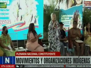 Movimientos y organizaciones indígenas consolidan su unidad en la Plenaria Nacional Constituyente