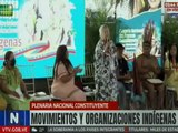 Movimientos y organizaciones indígenas consolidan su unidad en la Plenaria Nacional Constituyente