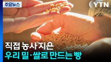 [청년농부] 직접 농사 지은 우리 밀과 쌀로 만드는 건강한 빵 / YTN