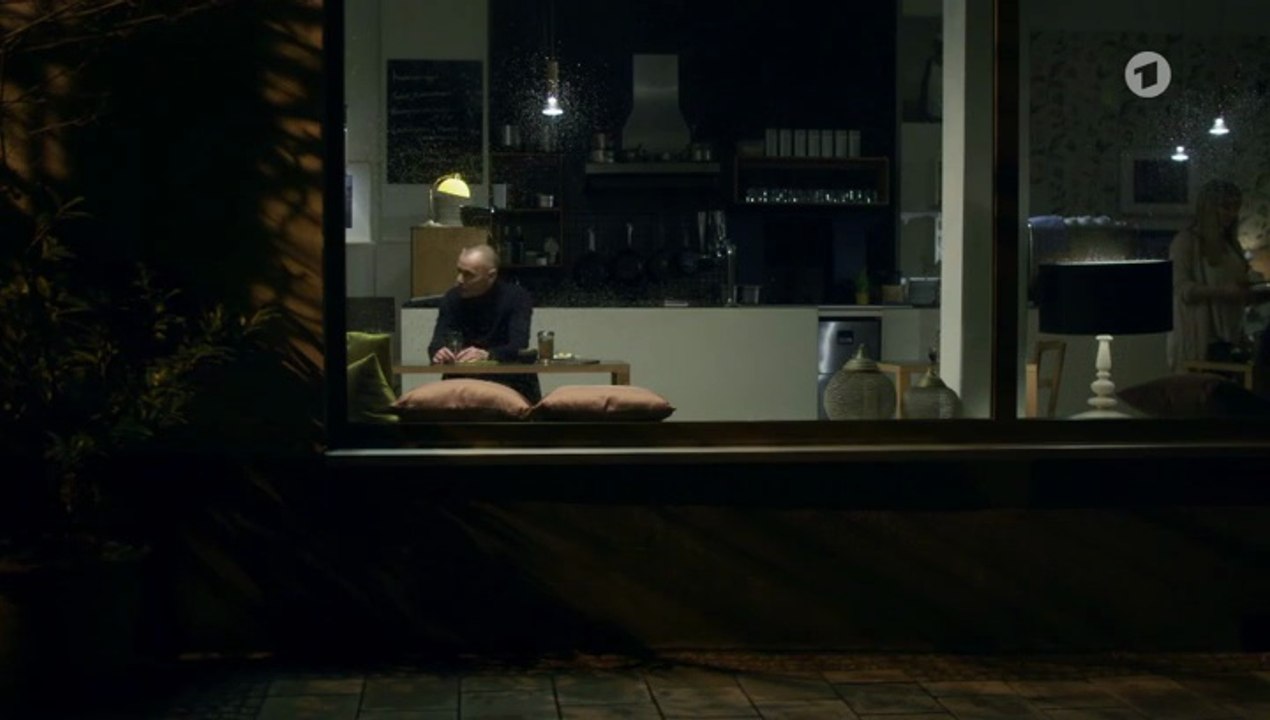 Die Füchsin -01- Dunkle Fährte