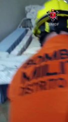 Cobra cascavel é resgatada em casa no Park Way