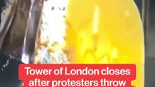 Tower of London closes after protesters throw custard onto British crown jewels.