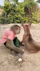 Best SokYaa, OG, Pao & Mom Are Videomous Around The World #shorts #anime #trend #edit