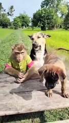 Awesome Video Best SokYaa, OG, Pao & Mom Are Famous Around The World #shorts #anime #trend #edit