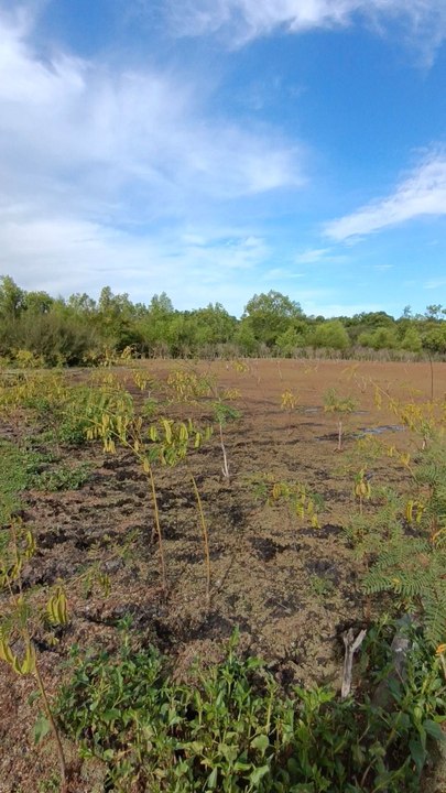 Miren que linda laguna para tirar el señuelo 🎣👌
