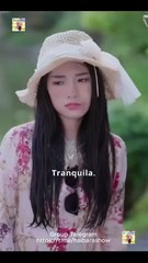 Vuelo Cambiado, Matrimonio Terminado Completo Minicinelatino