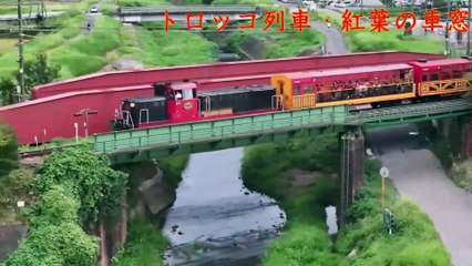 （たおやかインターネット放送)お出かけマイクひと息の京都。紅葉の色に包まれる旅へA moment's respite in Kyoto. Embark on a journey enveloped in the colours of autumn leaves.