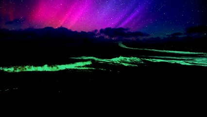 ASMR Sea Waves Live Stream – Relax, Unwind & Fall Asleep