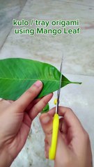 Kulo _ Trays Origami Using Mango Leaf
