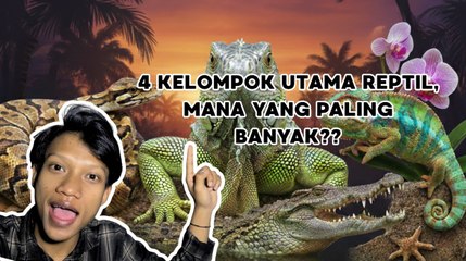 4 Kelompok Utama Hewan Reptil Mendominasi Kelas Reptilia-Serius Ini Hewan?