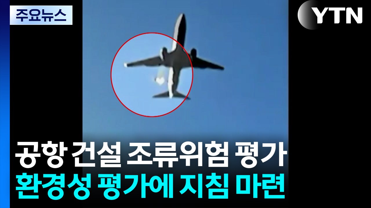 "공항 건설 때 조류 위험 평가"...이달 첫 지침 나온다 / YTN