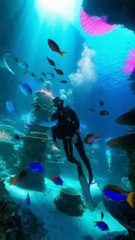 راحة نفسية وسط البحر