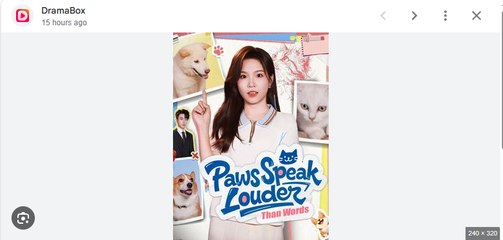 Paws Speak Louder Than Words (2025) - FULL HD [Eng Sub]