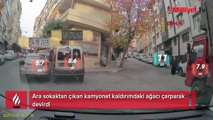 Esenler'de kamyonetin çarptığı ağaç devrildi