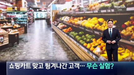 쇼핑카트 맞고 튕겨나간 고객…무슨 실험했길래