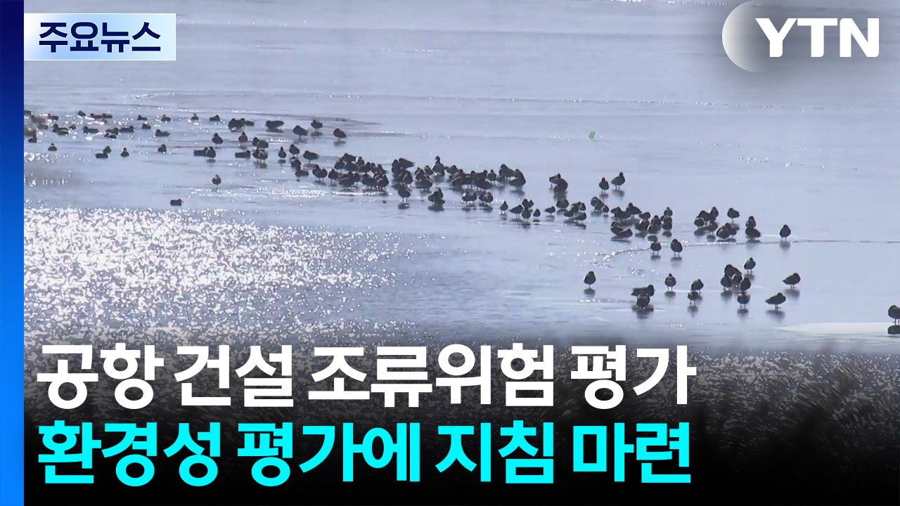 "공항 건설 때 조류 위험 평가"...이달 첫 지침 나온다 / YTN