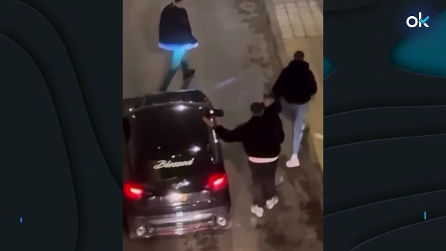 Cazan a cuatro jóvenes destrozando por diversión retrovisores de coches en Palma